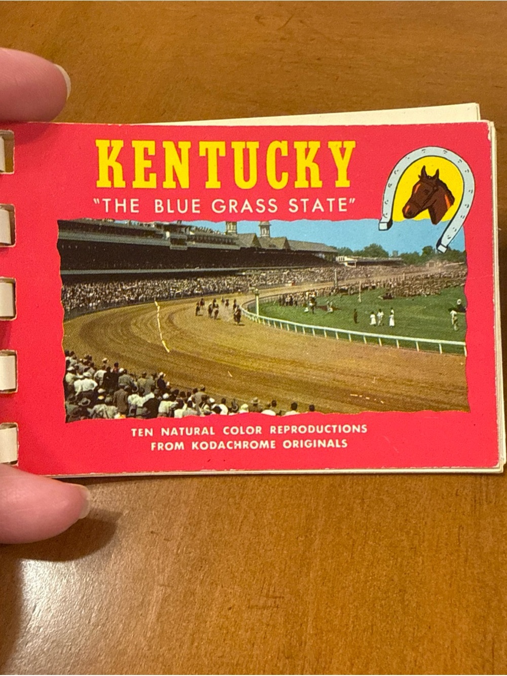 Vintage Kentucky 10 Natural Color Repro Kodachrome Originals Derby Blue grass